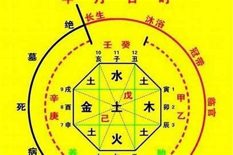 喜木火 忌金水|八字入门基础 第六篇 如何判断八字喜用神